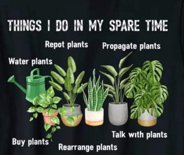 This meme is a humorous list of tasks that are often neglected or procrastinated on, with the title "Things I Do In My Spare Time". The text reads: "Water plants, Buy plants, Repot plants, Propagate plants, Talk with plants, and Reroute plants". The image is not described, but the text provides a humorous and relatable list of tasks that are often neglected or procrastinated on.